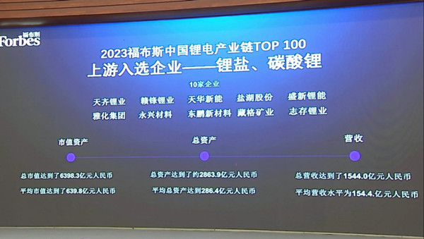 中国锂电产业链百强榜